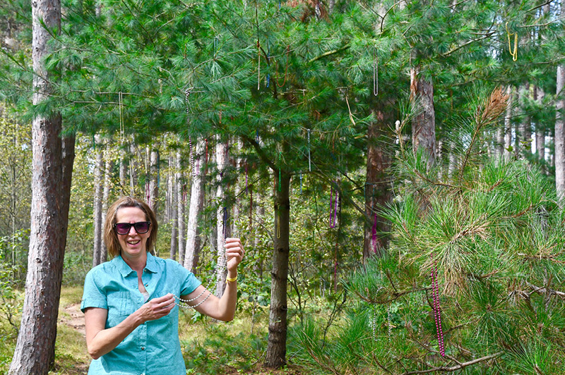 North Country Trail (Newaygo County)